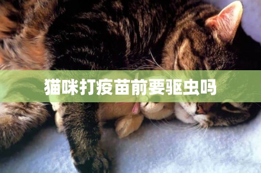 貓咪打疫苗前要驅蟲嗎