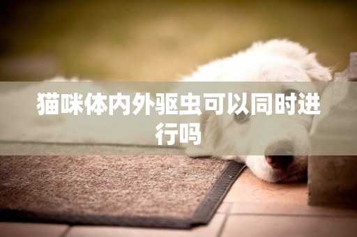 貓咪體內外驅蟲可以同時進行嗎