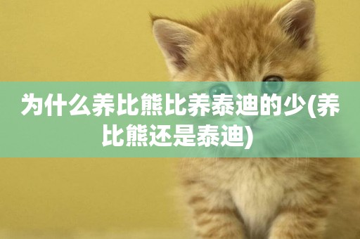 為什么養比熊比養泰迪的少(養比熊還是泰迪) 