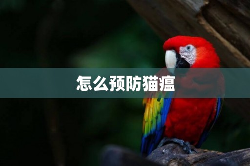 怎么預防貓瘟