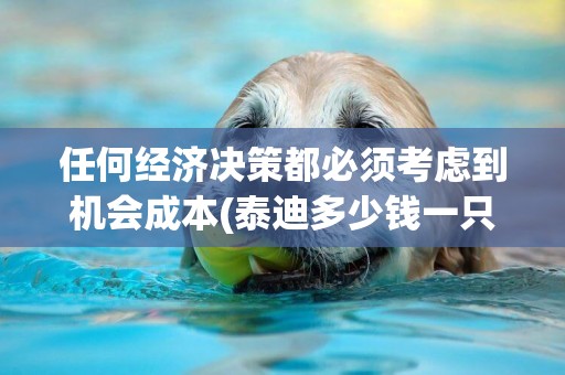任何經濟決策都必須考慮到機會成本(泰迪多少錢一只) 