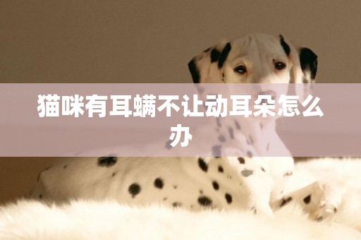 貓咪有耳螨不讓動耳朵怎么辦