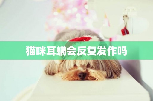 貓咪耳螨會反復發作嗎