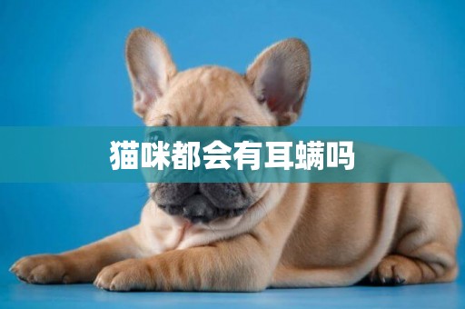 貓咪都會有耳螨嗎