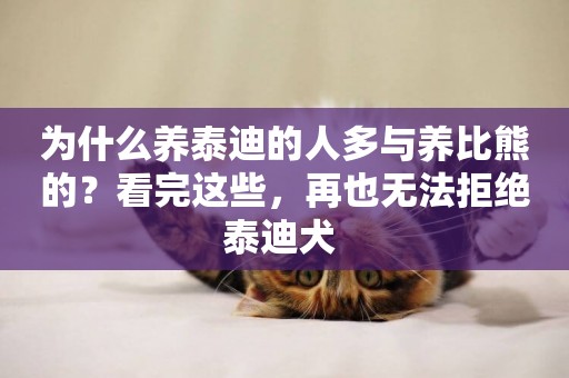 為什么養泰迪的人多與養比熊的？看完這些，再也無法拒絕泰迪犬 