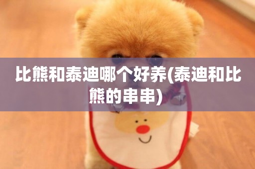 比熊和泰迪哪個好養(泰迪和比熊的串串) 