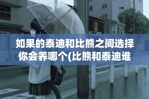 如果的泰迪和比熊之間選擇你會養哪個(比熊和泰迪誰好養) 