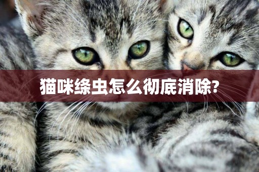 貓咪絳蟲怎么徹底消除?