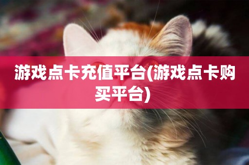 游戲點卡充值平臺(游戲點卡購買平臺) 