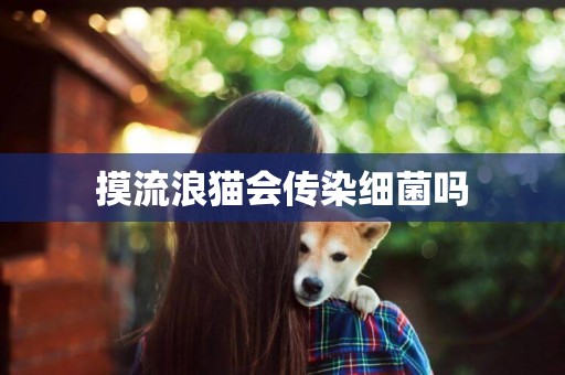 摸流浪貓會傳染細菌嗎