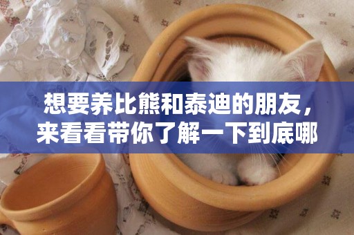 想要養比熊和泰迪的朋友，來看看帶你了解一下到底哪個狗好養 