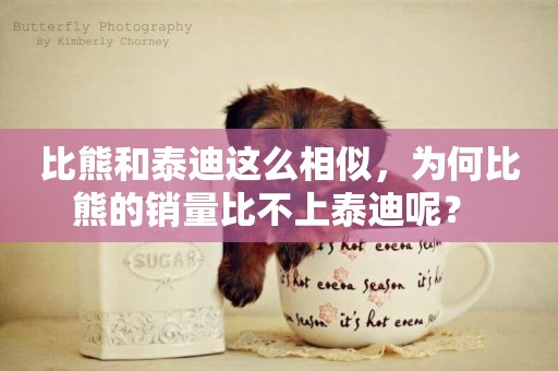 比熊和泰迪這么相似，為何比熊的銷量比不上泰迪呢？ 