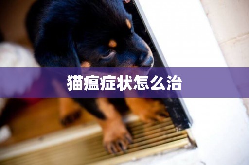 貓瘟癥狀怎么治