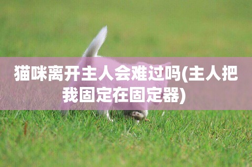 貓咪離開主人會難過嗎(主人把我固定在固定器) 