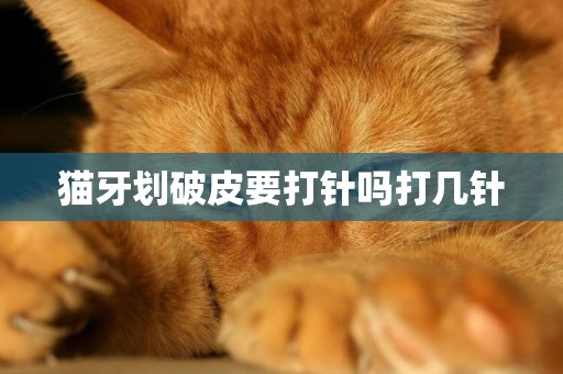 貓牙劃破皮要打針嗎打幾針