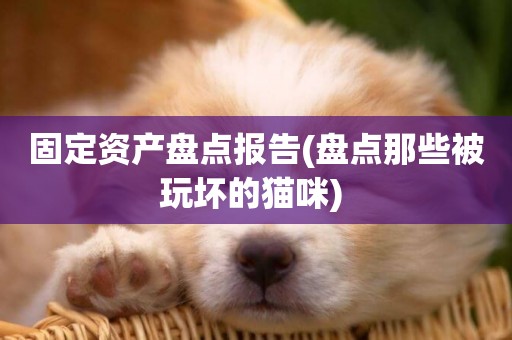 固定資產盤點報告(盤點那些被玩壞的貓咪) 