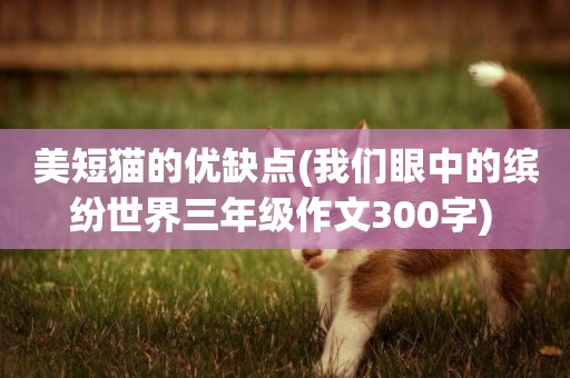 美短貓的優缺點(我們眼中的繽紛世界三年級作文300字) 