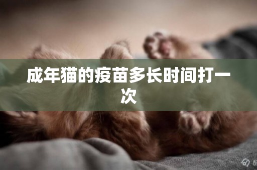 成年貓的疫苗多長時間打一次