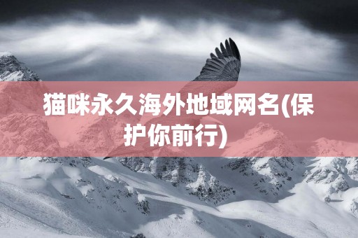 貓咪永久海外地域網名(保護你前行) 