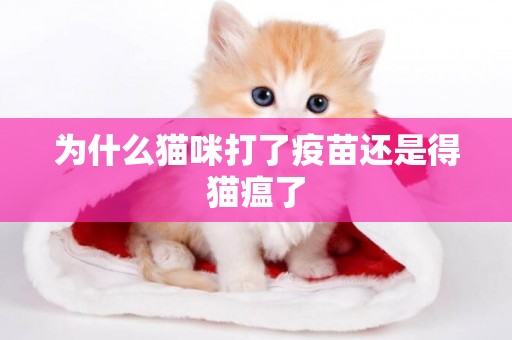 為什么貓咪打了疫苗還是得貓瘟了