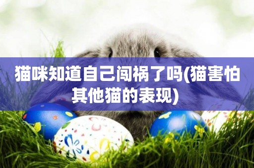 貓咪知道自己闖禍了嗎(貓害怕其他貓的表現) 