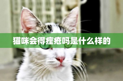 貓咪會得痤瘡嗎是什么樣的