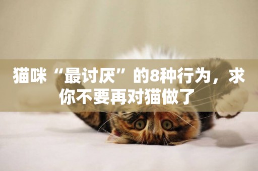 貓咪“最討厭”的8種行為，求你不要再對貓做了 