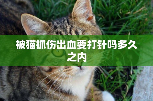 被貓抓傷出血要打針嗎多久之內