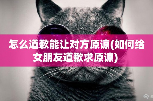 怎么道歉能讓對方原諒(如何給女朋友道歉求原諒) 