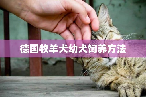 德國牧羊犬幼犬飼養方法