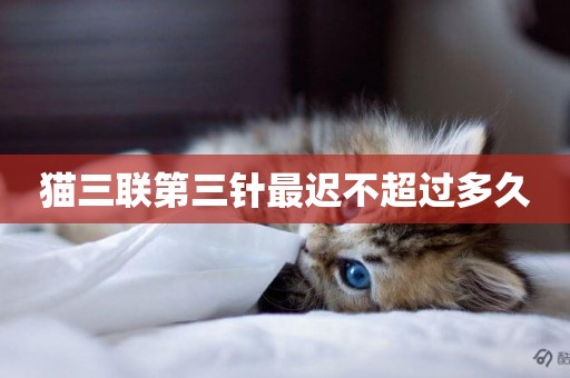 貓三聯第三針最遲不超過多久