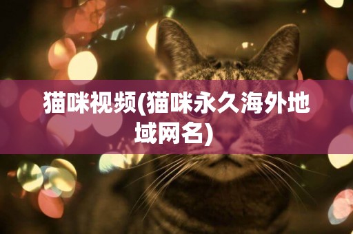 貓咪視頻(貓咪永久海外地域網名) 
