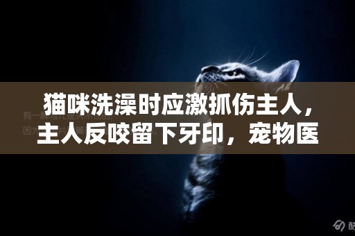 貓咪洗澡時應激抓傷主人，主人反咬留下牙印，寵物醫生發出提醒 