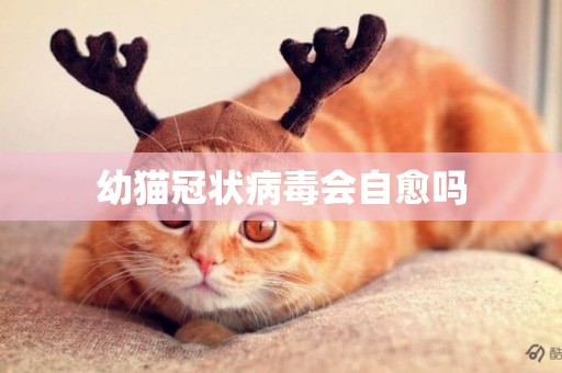 幼貓冠狀病毒會自愈嗎
