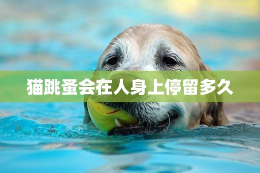 貓跳蚤會在人身上停留多久