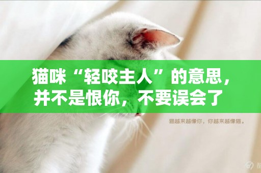 貓咪“輕咬主人”的意思，并不是恨你，不要誤會了 