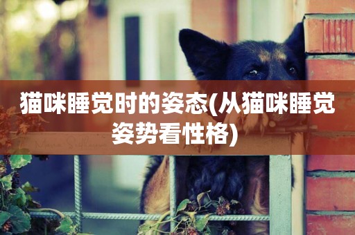 貓咪睡覺時的姿態(從貓咪睡覺姿勢看性格) 