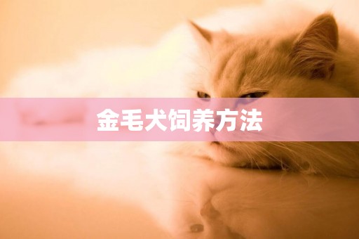 金毛犬飼養方法