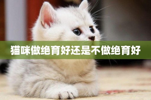貓咪做絕育好還是不做絕育好