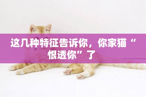 這幾種特征告訴你，你家貓“恨透你”了 