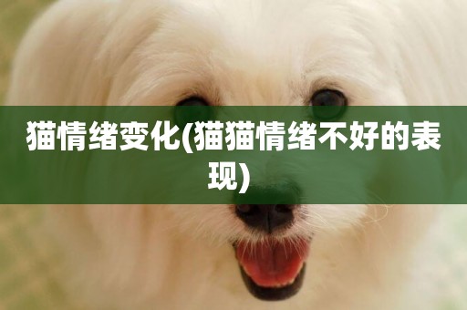 貓情緒變化(貓貓情緒不好的表現) 
