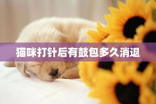 貓咪打針后有鼓包多久消退