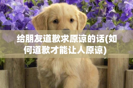 給朋友道歉求原諒的話(如何道歉才能讓人原諒) 