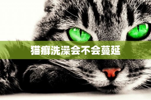 貓癬洗澡會不會蔓延