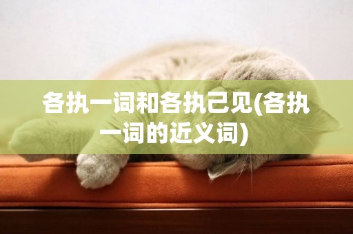 各執一詞和各執己見(各執一詞的近義詞) 