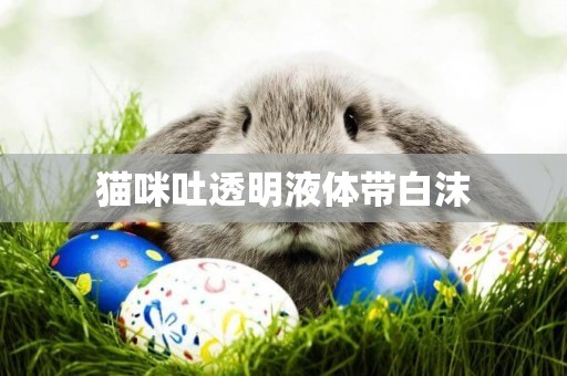 貓咪吐透明液體帶白沫