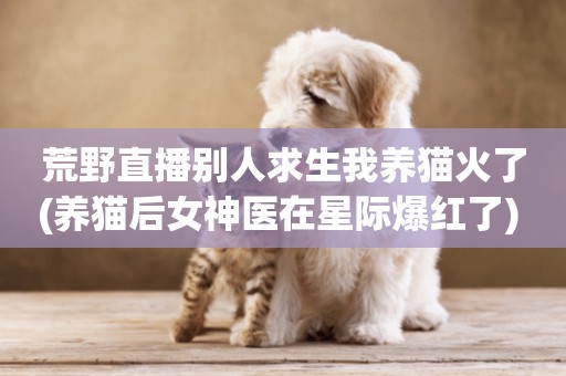 荒野直播別人求生我養貓火了(養貓后女神醫在星際爆紅了) 