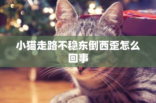 小貓走路不穩東倒西歪怎么回事