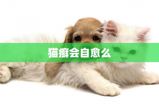 貓癬會自愈么