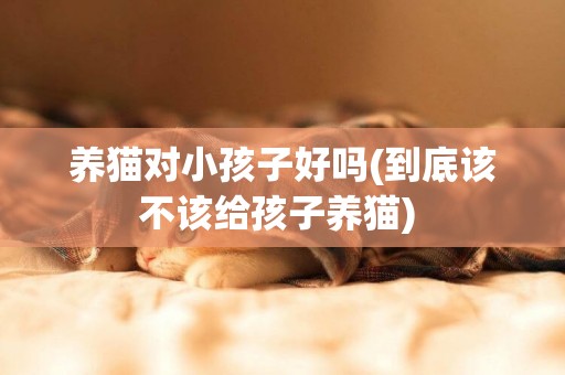 養貓對小孩子好嗎(到底該不該給孩子養貓) 